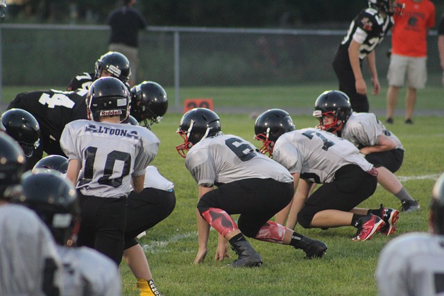 文物是不可 文物是不可