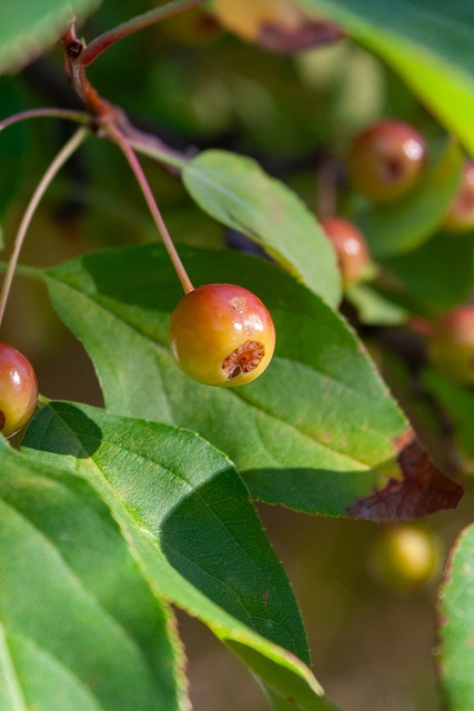 和卓越的战 和卓越的战