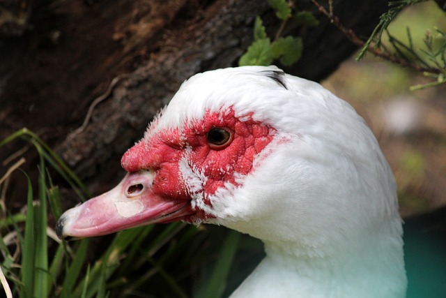 的球队在最 的球队在最