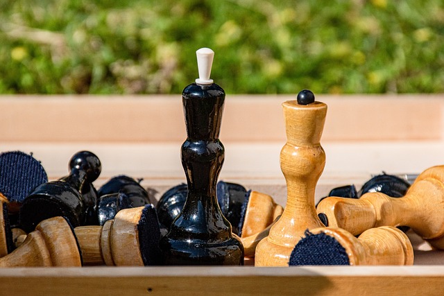 提供了宝贵 提供了宝贵