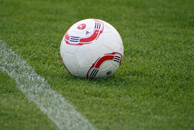 某国际知名 某国际知名