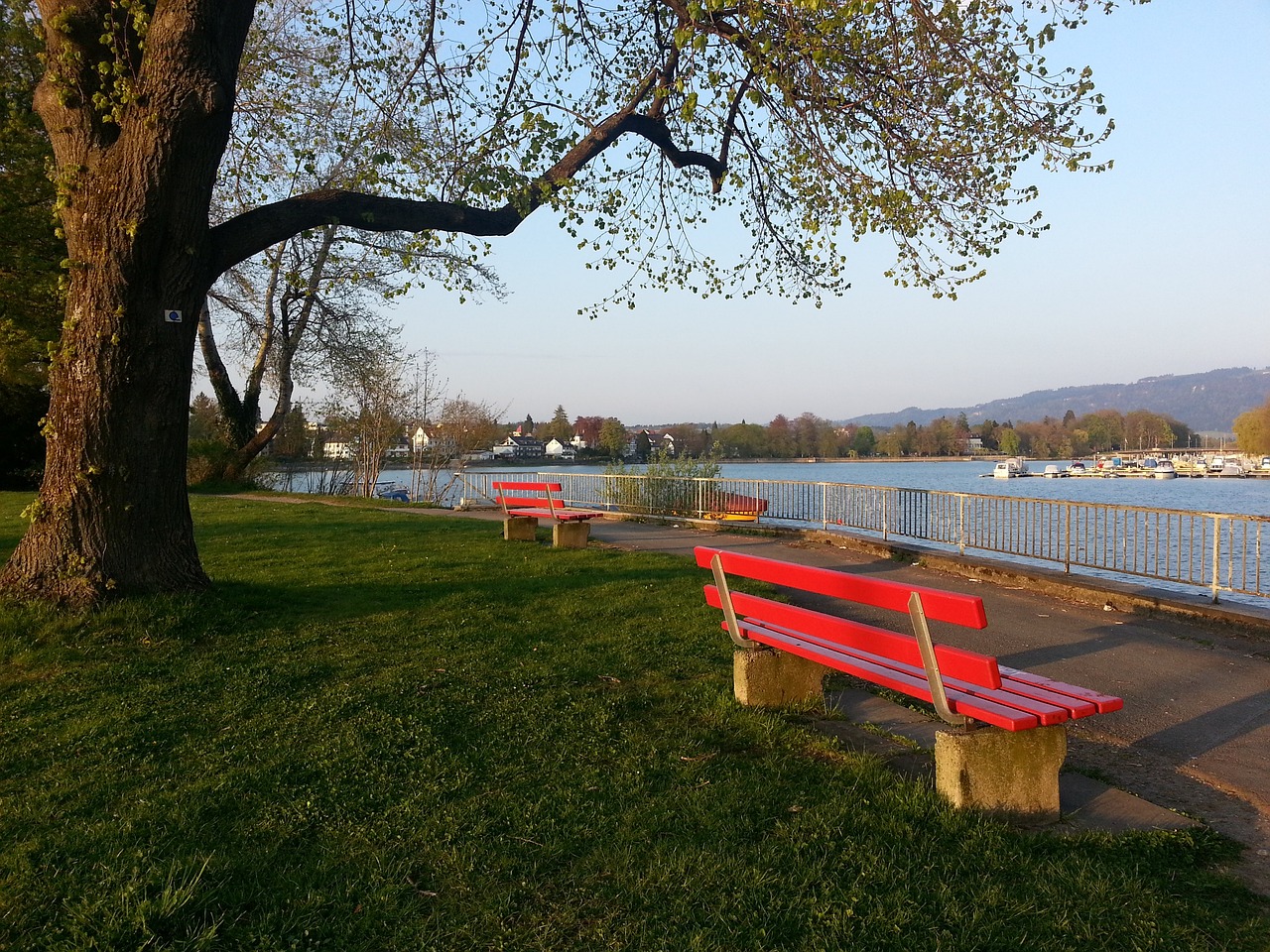 未进行续约 未进行续约