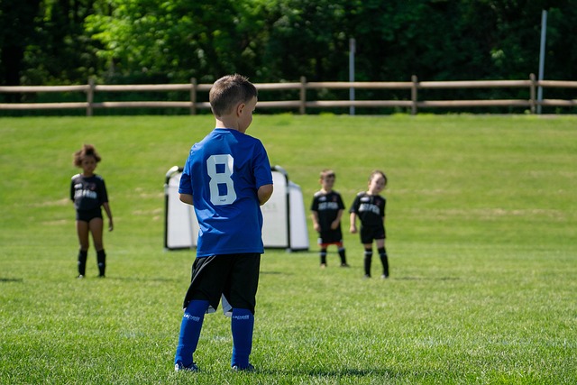 或许浓眉的 或许浓眉的