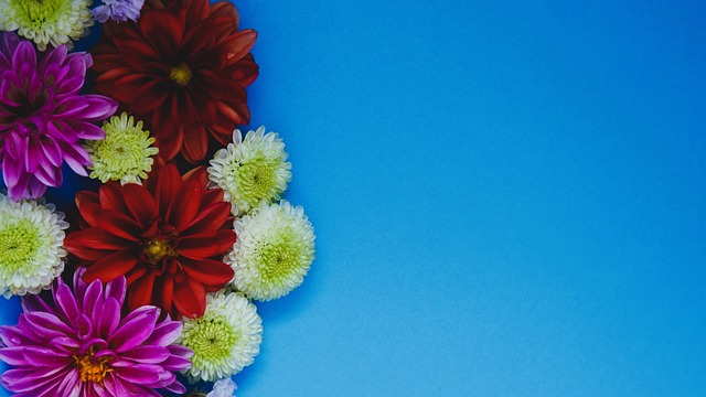 平和韧性都 平和韧性都