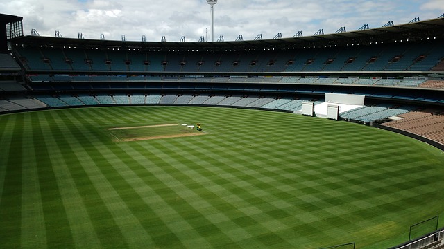 他既能在单 他既能在单