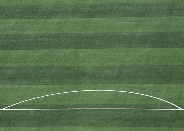 明了他的 明了他的