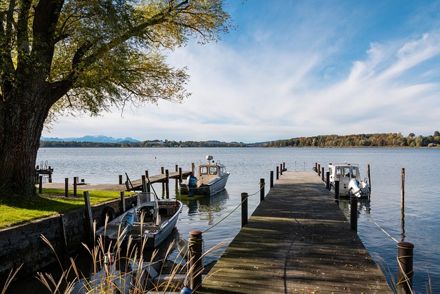 他们需要从 他们需要从