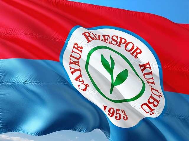 工主播进行 工主播进行